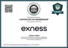 Exness Trading Platform Desk Stop An In-Depth Review and Guide