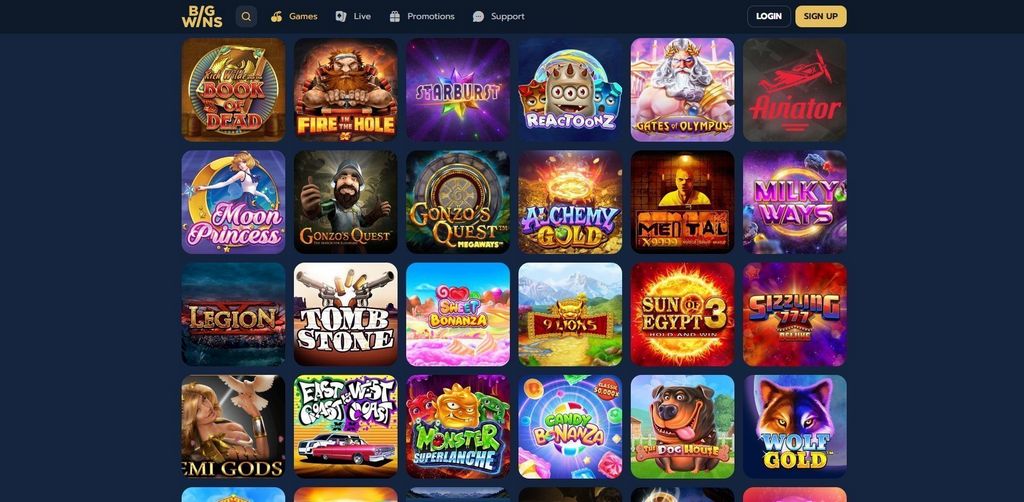 BigWins Casino Evaluation 2025 - Exclusive Bonus & Games