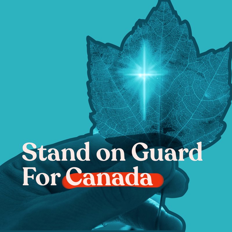 Mission uncrossable game, mission uncrossable on roobet